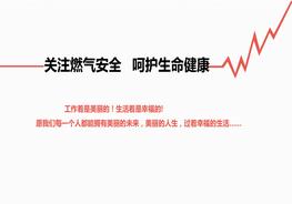 关注燃气安全呵护生命健康pptx