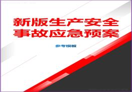 新版生产安全事故应急预案参考模板（依据GBT29639-2020编制）docx