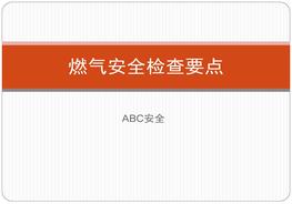燃气安全检查要点pptx