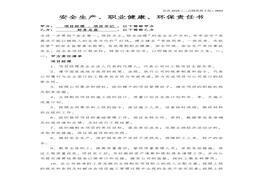 务总监责任书docx
