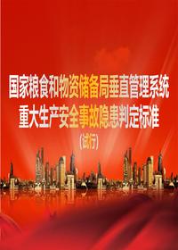 国家粮食和物资储备局垂直管理系统重大生产安全事故隐患判定raybet雷电竞电竞app下载地址（试行）pptx