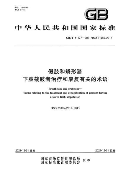 GB/T 41177-2021假肢和矫形器 下肢截肢者治疗和康复有关的术语Prosthetics and orthotics—Terms relating to the treatment and rehabilitation of persons having a lower limb amputation