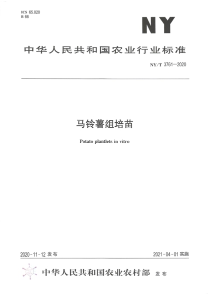  NY/T 3761-2020 马铃薯组培苗
