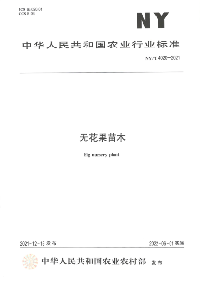  NY/T 4020-2021 无花果苗木