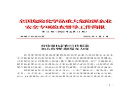 全国危险化学品重大危险源企业专项检查督导工作简报（第11期）(1)pdf