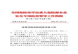 全国危险化学品重大危险源企业专项检查督导工作简报（第6期）pdf