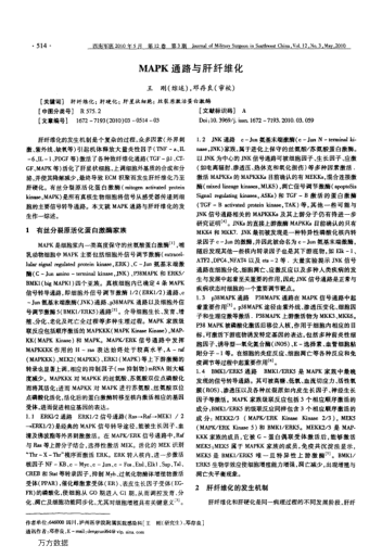 MAPK通路与肝纤维化