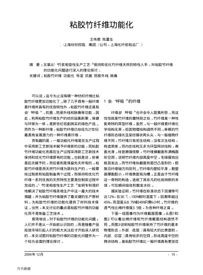 粘胶竹纤维功raybet雷电竞电竞app下载地址