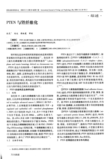 PTEN与肾纤维化
